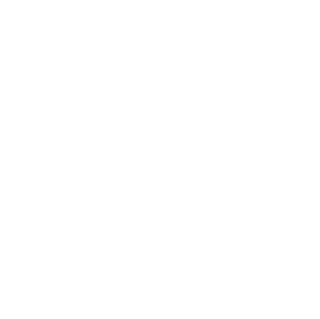 Hohe Daten-<br>Sicherheit