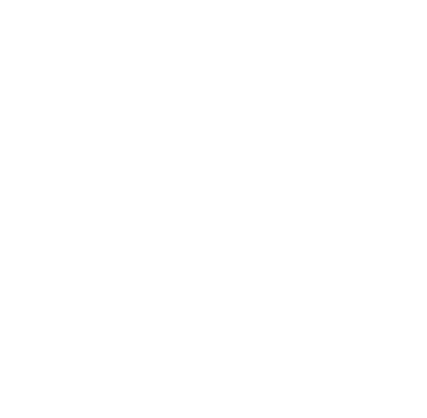 Über Nacht Analyse und Kategorisierung in der ONTIV AI